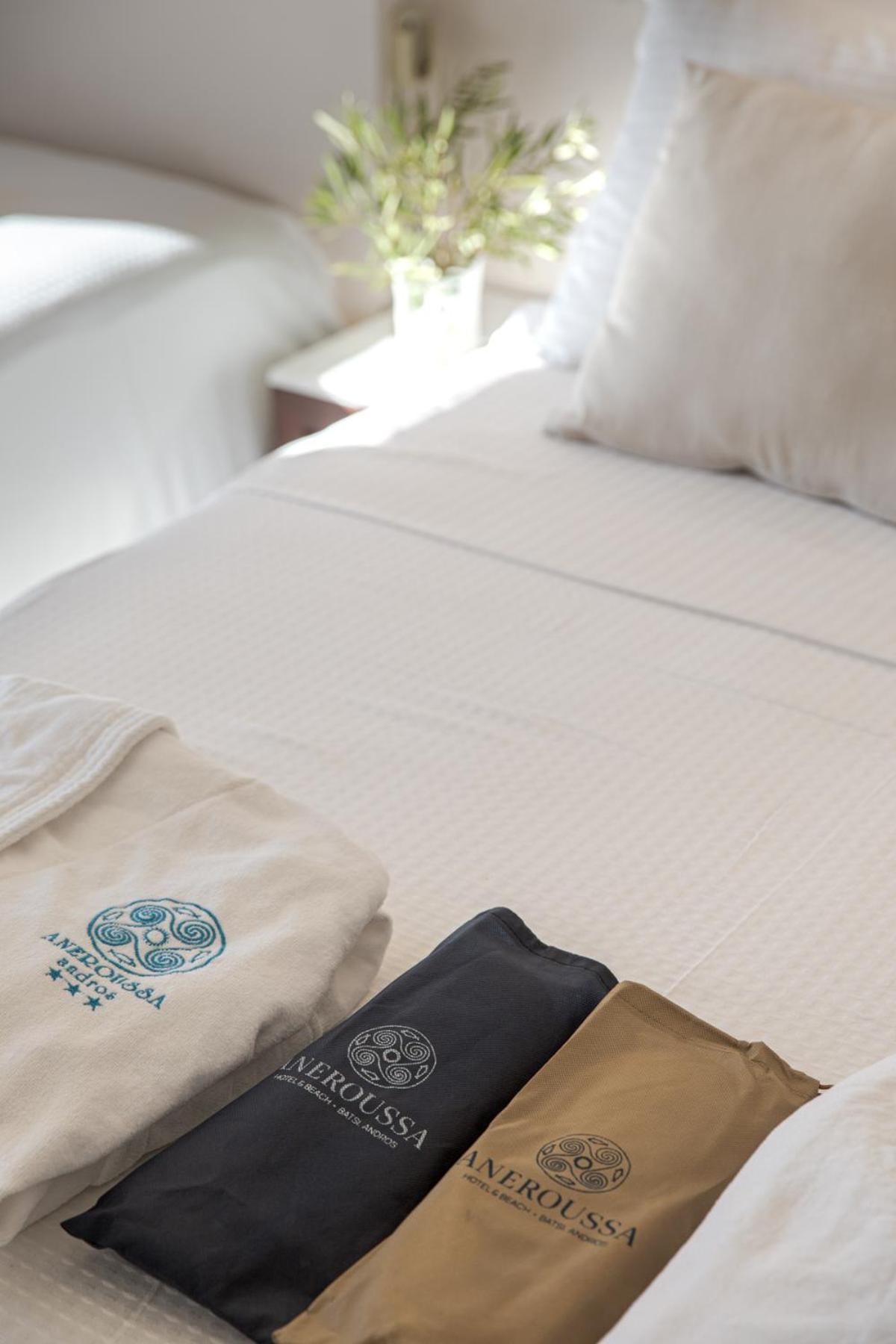 Aneroussa Beach Hotel Batsi  Luaran gambar